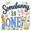 Some Bunny is ONE Boy Apparel